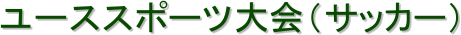 [XX|[ciTbJ[j