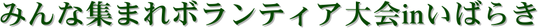 ݂ȏW܂{eBAin΂炫